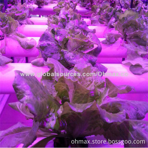 Waterproof LED Tube Grow Light 18W, for Indoor/Hydroponic/Greenhouse Plants Growth